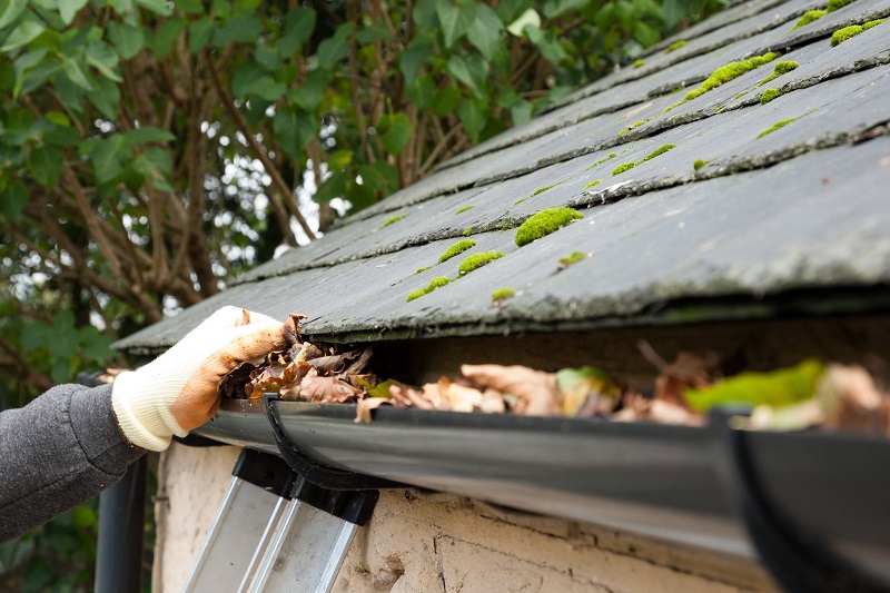 Gutter Cleaning Tips To Protect Your Home (And Your Safety)