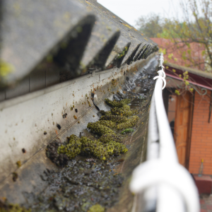 The Best Way To Clean Gutters