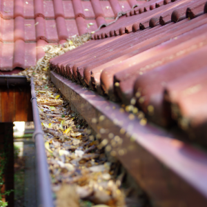 Gutters and Pressure Washing: What You Need to Know