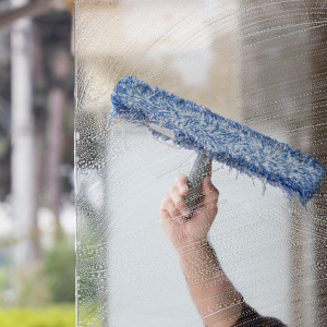 The Power of Water Fed Window Cleaning: Achieving Streak-Free Brilliance for Your Home