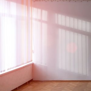 Window Shine 101: A Guide to Sparkling Windows and Preventative Home Maintenance