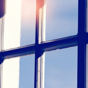 Window Shine 101: A Guide to Sparkling Windows and Preventative Home Maintenance