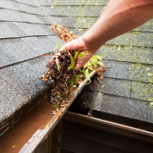 Rain Gutters: The Unsung Heroes of Home Maintenance