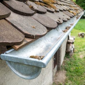 Is Winter Gutter Cleaning Necessary? Debunking Common Myths