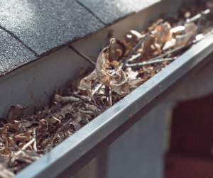 Understanding the Importance of Clearing Clogged Gutters and Downspouts