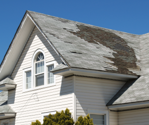 The Ultimate Guide to House Roof Cleaning