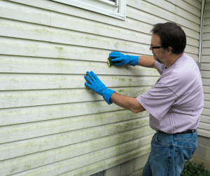 How to Remove Algae from Siding: A Comprehensive Guide by HomeSmiles