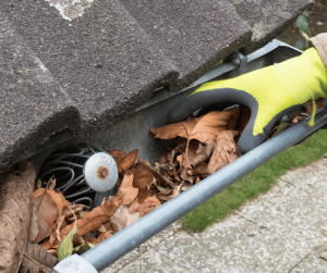 The Importance of Cleaning Your Gutters in Spring