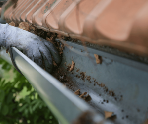 Should I Get on the Roof to Clean Gutters?