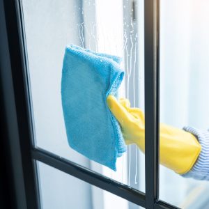 Unveiling the Art of House Window Washing: Expert Tips from HomeSmiles