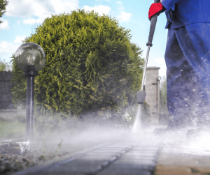 Elevate Your Home’s Exterior: The Importance of Driveway Cleaning with HomeSmiles