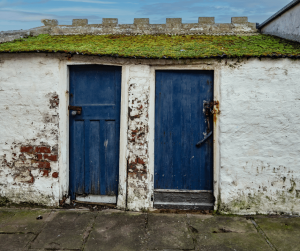 Using Bleach and Vinegar to Kill Moss on Your Roof