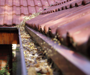 How HomeSmiles Prevents Costly Repairs with Expert Gutter Cleaning and Home Maintenance