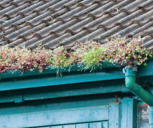 Clogged Gutters Damage