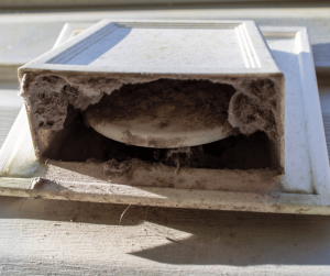 All You Need to Know About HVAC and Dryer Vent Cleaning