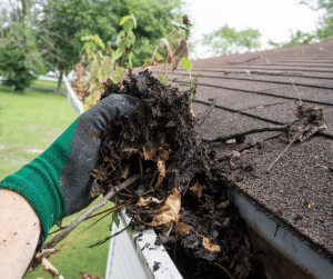 Leaves Blocking Gutters