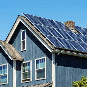 Why Professional Solar Panel Cleaning is Essential for Optimal Performance