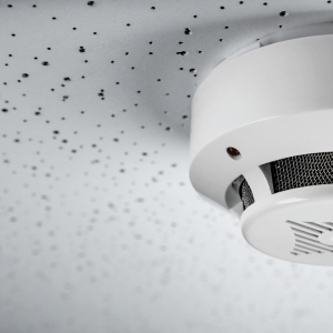 The Essential Guide to Battery-Operated Smoke Detectors for Home Safety