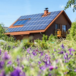 How to Clean Solar Panels: A Comprehensive Guide