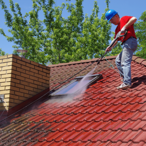 Essential Tips and Best Practices to Clean a Roof