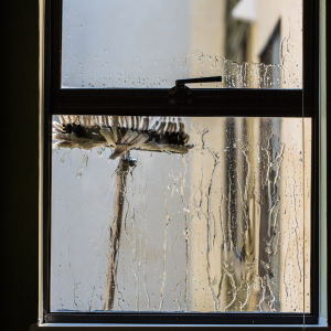 Window Cleaner for Outside Windows: A Guide to Crystal Clear Views