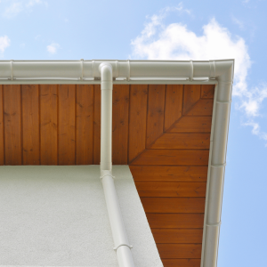 Essential Guide to Gutter Fascia Repair