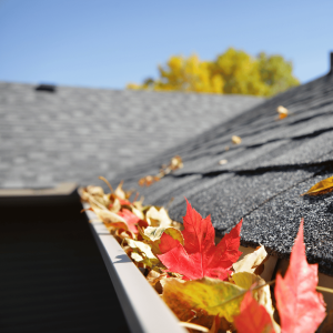 Finding Reliable Gutter Cleaning Companies Near Me: Essential Tips for Homeowners