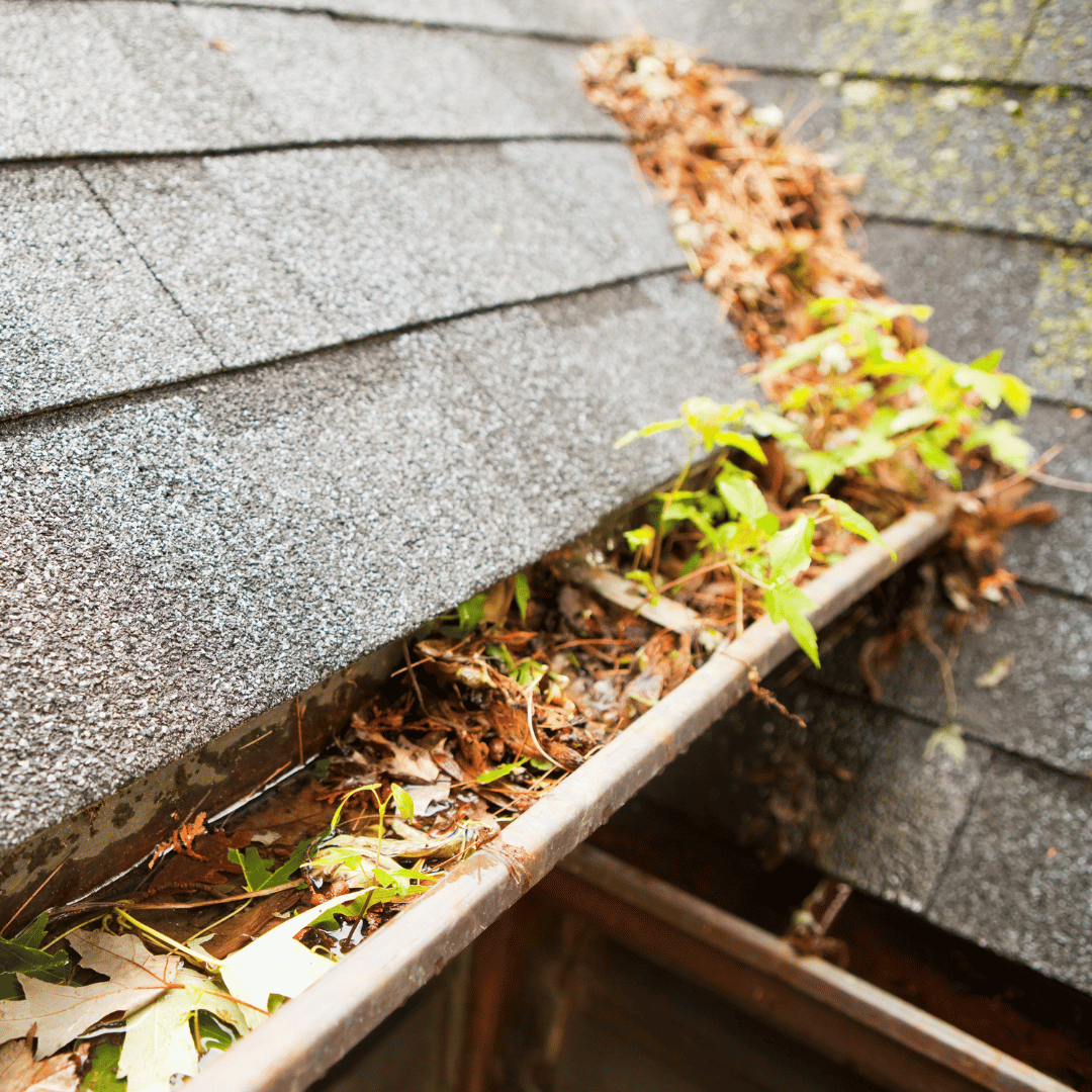 Gutter Oct Emergency Gutter Cleaning: Essential Tips for Homeowners - HomeSmiles ...