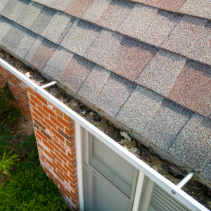 The Best Gutter Cleaning Services: Tips, Tricks, and Essential Maintenance for Your Home