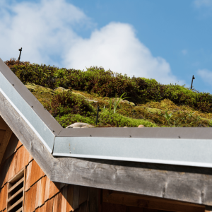 Effective Anti-Moss Roof Treatment: Prevent, Remove, and Protect Your Roof