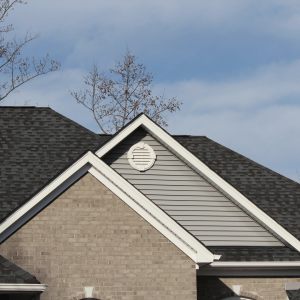 Why Roof Cleaning is Essential for Your Home: Expert Insights from HomeSmiles