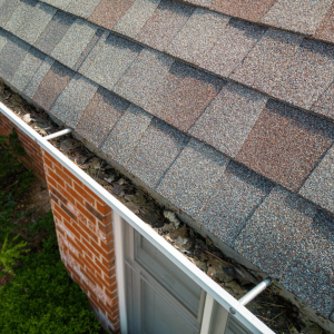 Everything You Need to Know About No Clog Gutters: A Homeowner’s Guide