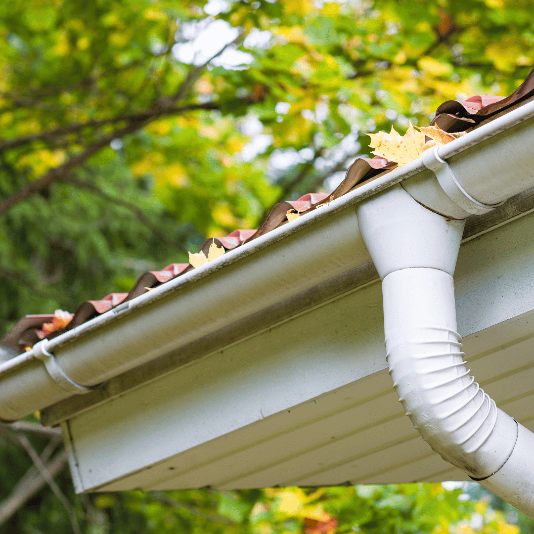 The Importance of Cleaning Gutters and Downspouts