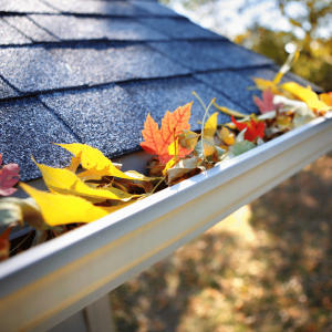 Experienced Roof & Gutter Cleaning: Essential Tips for Preventative Home 