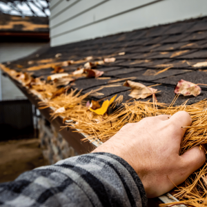 Essential Guide to Downspout Gutter Cleaning: Tips, Benefits, and Maintenance