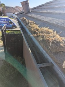 Important Information for Sacramento Homeowners About Home Maintenance Services