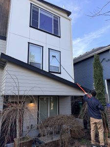 Why Portland, OR Homeowners Choose HomeSmiles for Home Care