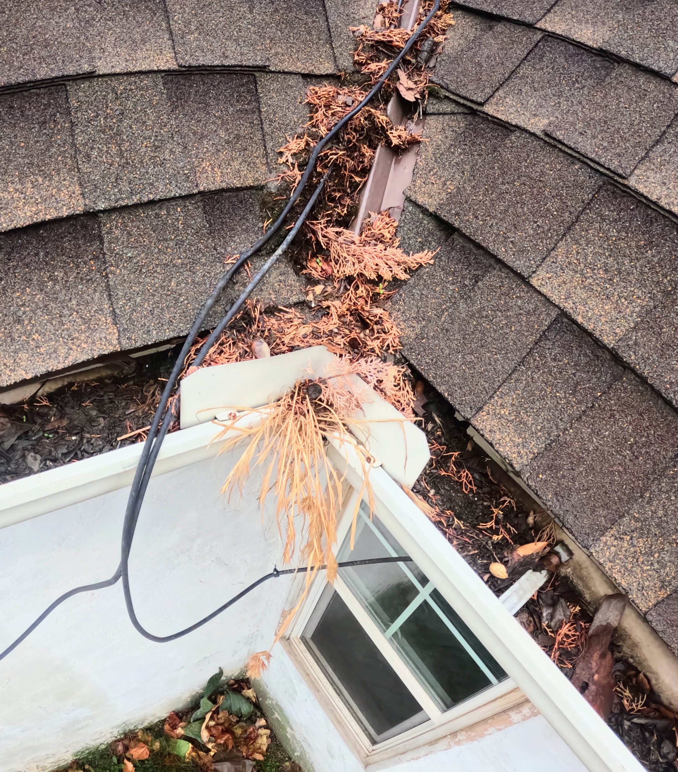 HomeSmiles Bakersfield Home Maintenance Checklist for Every Season