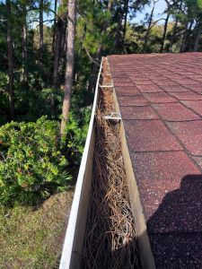 Hurricane Season Prep: Essential Home Maintenance Tips for Miami