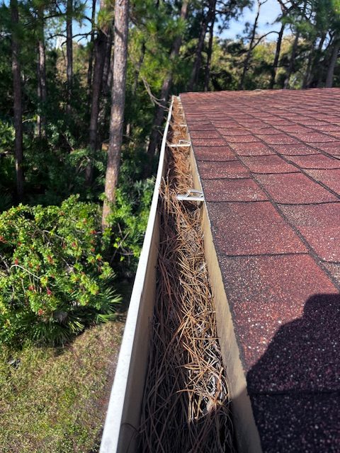 Hurricane Season Prep: Essential Home Maintenance Tips for Miami