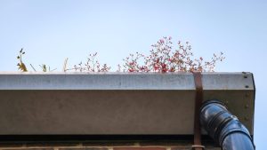 How Roof and Drainage Maintenance Prevent Water Damage in Ohio