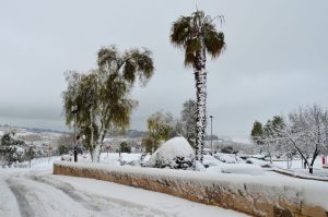 The Ultimate Home Maintenance Checklist for Northern Nevada Homeowners