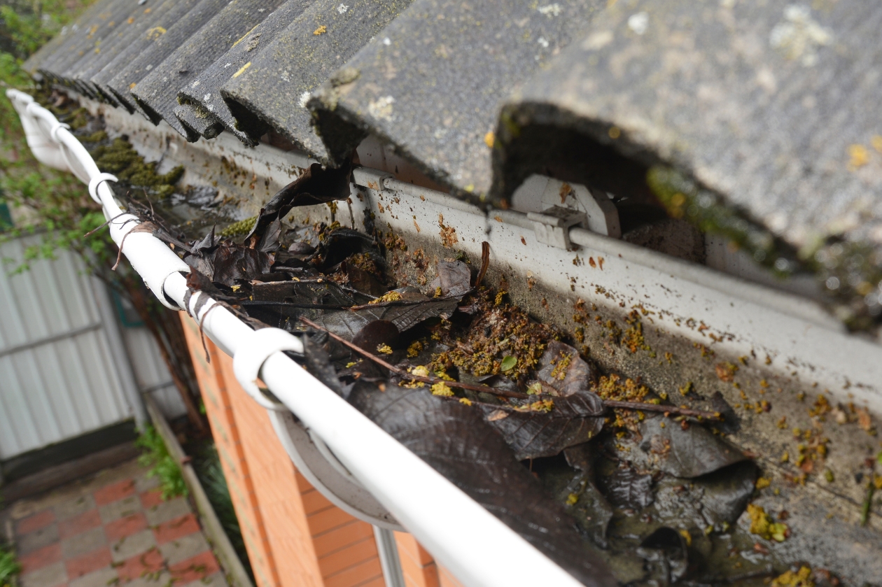 Gutter filled with leaves before professional cleaning