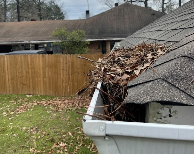 Gutter filled with leaves before professional cleaning