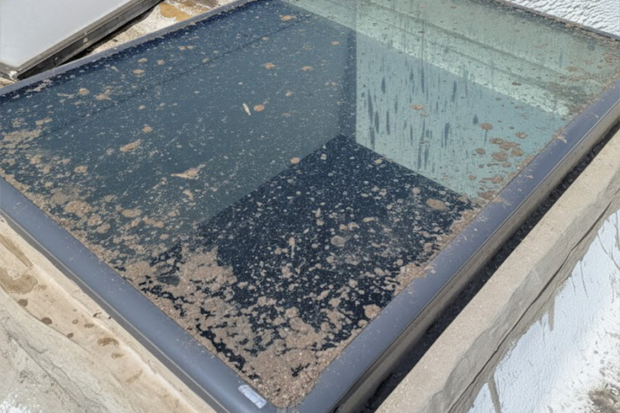 Gutter filled with leaves before professional cleaning