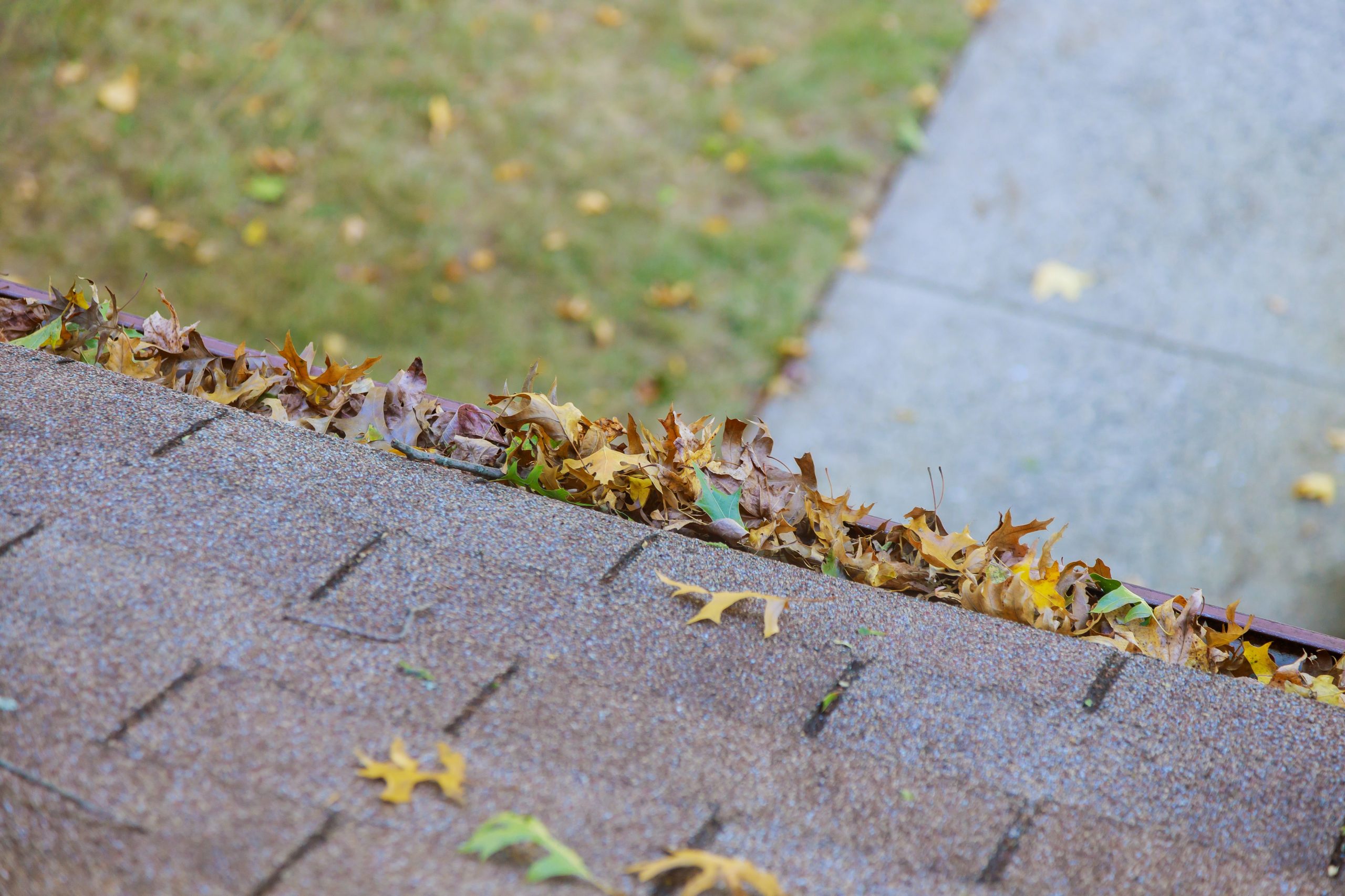 Fall Leaf Drop in Louisville Is Beautiful — But Your Gutters Hate It