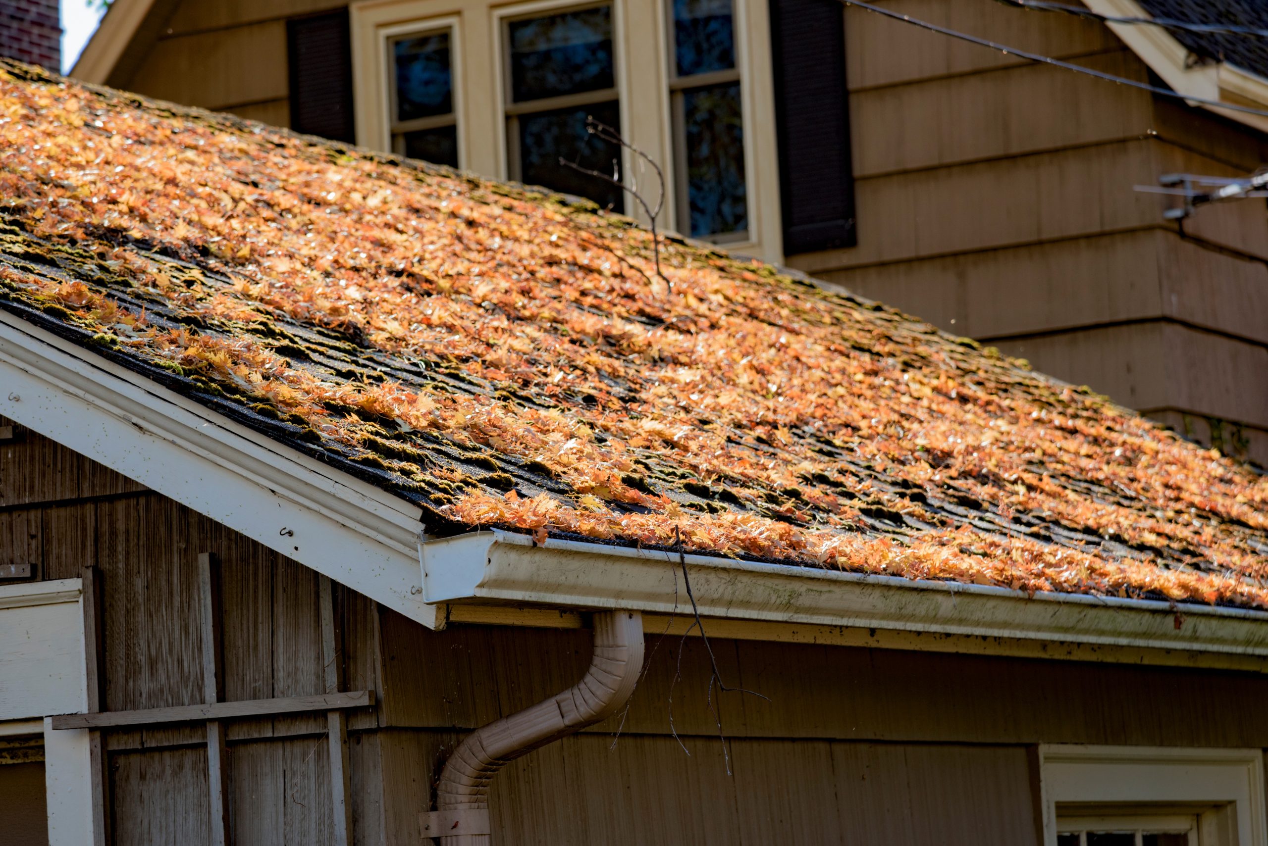 Fall Leaf Season in Northern Kentucky: Why Gutter Cleaning Is a Monthly Must in October and November
