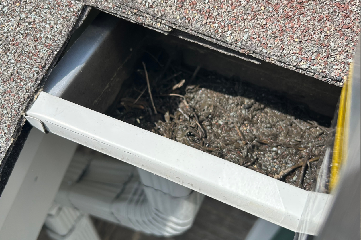 Gutter filled with leaves before professional cleaning